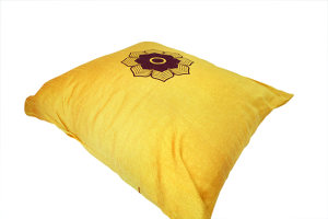 Cushion Cover with Logo and Filler